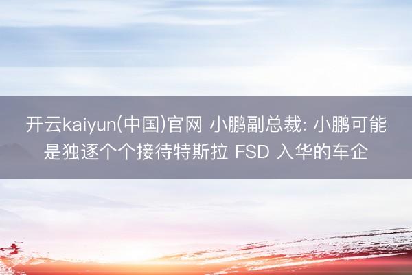开云kaiyun(中国)官网 小鹏副总裁: 小鹏可能是独逐个个接待特斯拉 FSD 入华的车企