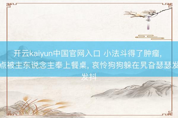 开云kaiyun中国官网入口 小法斗得了肿瘤， 差点被主东说念主奉上餐桌， 哀怜狗狗躲在旯旮瑟瑟发抖