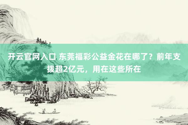 开云官网入口 东莞福彩公益金花在哪了?前年支拨超2亿元,用在这些所在