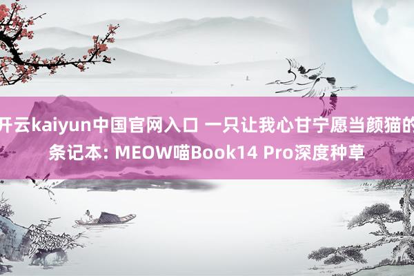 开云kaiyun中国官网入口 一只让我心甘宁愿当颜猫的条记本: MEOW喵Book14 Pro深度种草